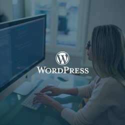 Mantenimiento WordPress
